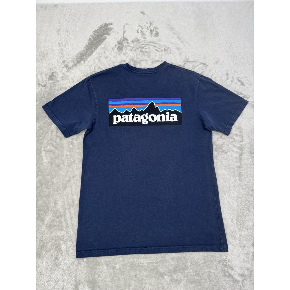Patagonia Blue Graphic T-Shirt Mens Small S Mountain Hiking Outdoor 100% Cotton